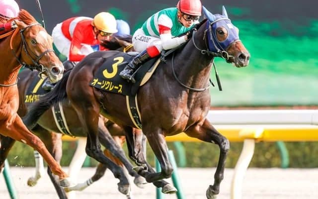 【ホープフルS 調教後馬体重】オーソクレースは475kg、ヨーホーレイクは506kg