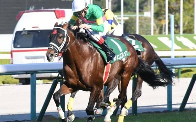 【中山大障害 出走馬・騎手確定】タガノエスプレッソ＆平沢健治騎手、メイショウダッサイ＆森一馬騎手など16頭