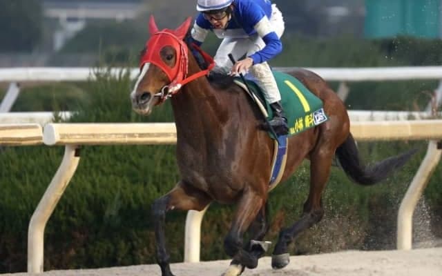 【YJSファイナル園田第3戦】美浦・小林脩斗騎手が1番人気クリノガオガオでV！