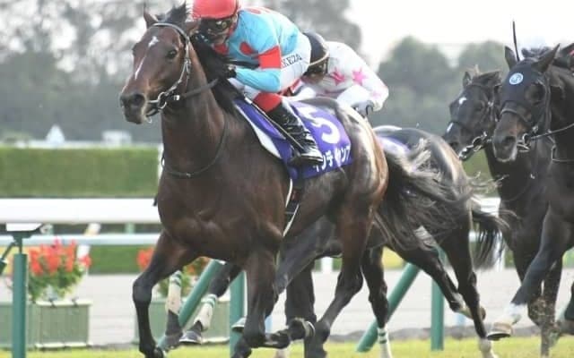 【阪神C】インディチャンプ＆福永祐一騎手、ステルヴィオ＆池添謙一騎手など16頭