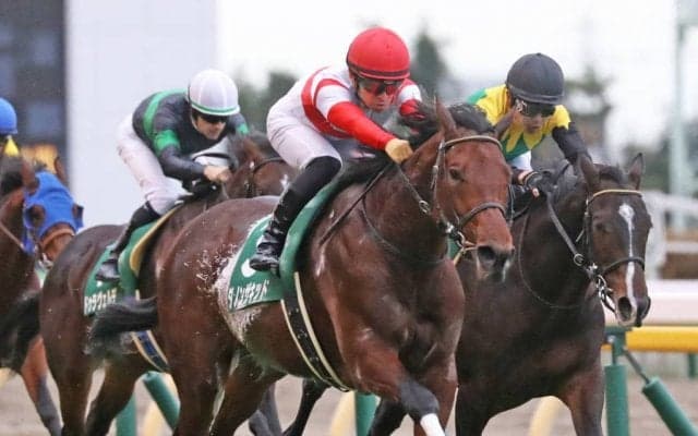 【ホープフルS】出走馬の調教後の馬体重