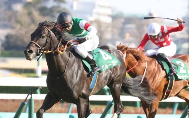 クルーガーが競走馬登録抹消