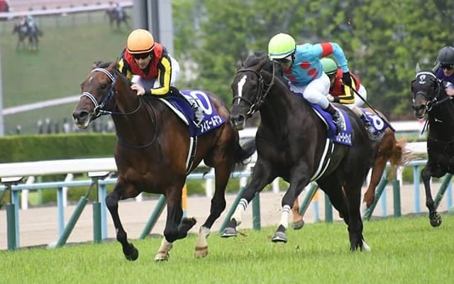 【有馬記念予想】 グランプリ制覇に大切なのは“マイル適性”!? マイルの勝ち鞍の有無で、今年の勝ち馬が見えてくる!?/JRAレース展望
