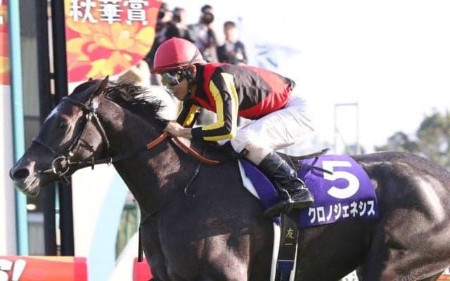 【有馬記念】出走馬の調教後の馬体重