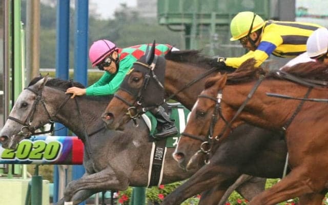 トロワゼトワルが競走馬登録抹消