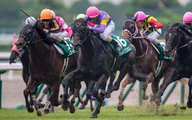 ダイメイプリンセスが競走馬登録抹消