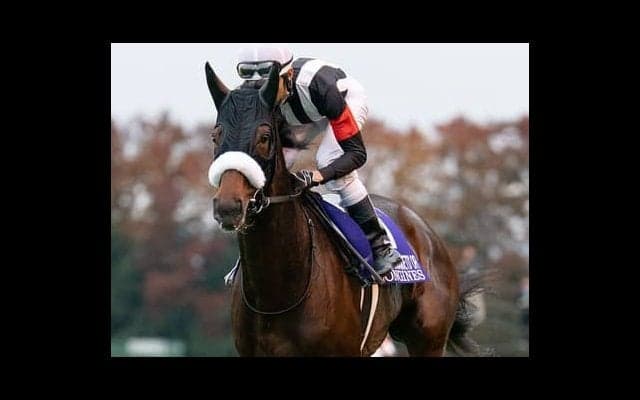 有馬記念はアーモンドアイと接戦を演じた馬たちが中心。なかでも穴は…