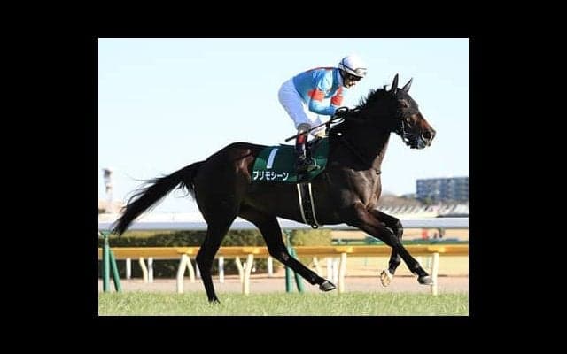 プリモシーンの妹リバースレーは「操縦性が高い」とスタッフが高評価