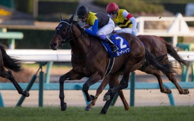 【ホープフルS】武豊「 スタートが上手くいかなかった」レース後ジョッキーコメント