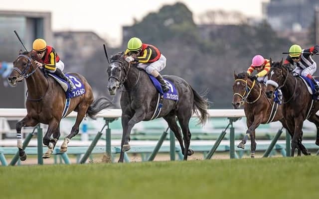 【有馬記念・豆知識】ノーザンF生産馬、芝1600m以上・古馬混合JRAGIでは26連勝