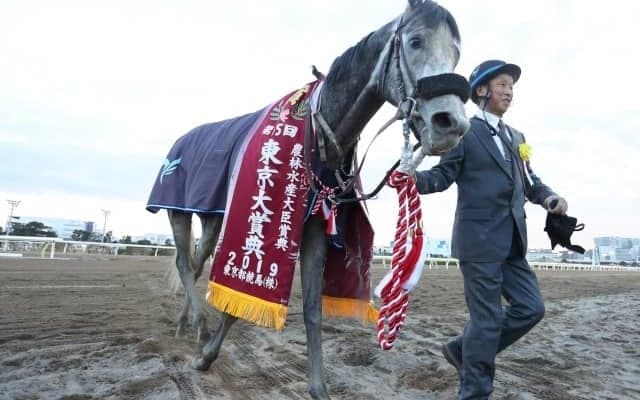 【大井・東京大賞典】オメガパフューム、史上初の3連覇なるか/レースの見どころ(地方競馬)