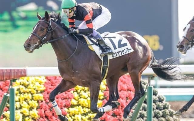【中山5R新馬戦結果】4番人気のホウオウサンデーが快勝