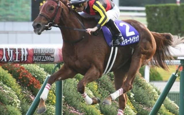 【有馬記念 予想】ラッキーライラックの有終の美に期待