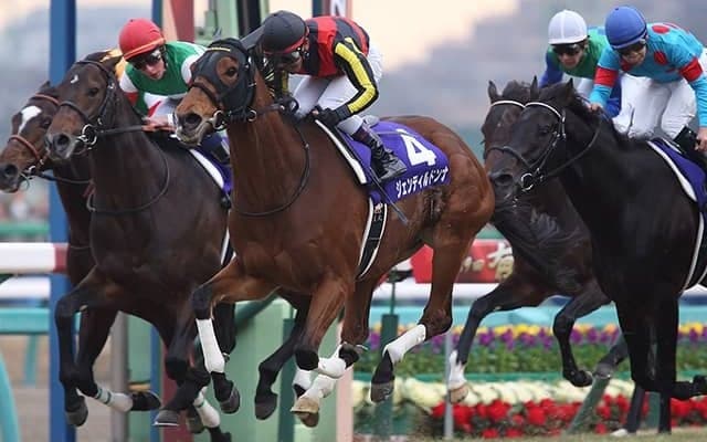 【有馬記念予想】“負けないオンナ”が注目！ 外枠不利が明らかなグランプリを攻略するための狙いどころとは!?/JRAレース展望