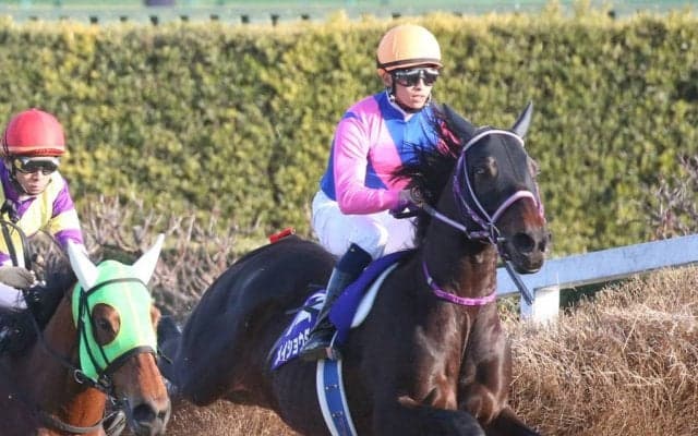 【中山大障害】メイショウダッサイが断然の人気に応える