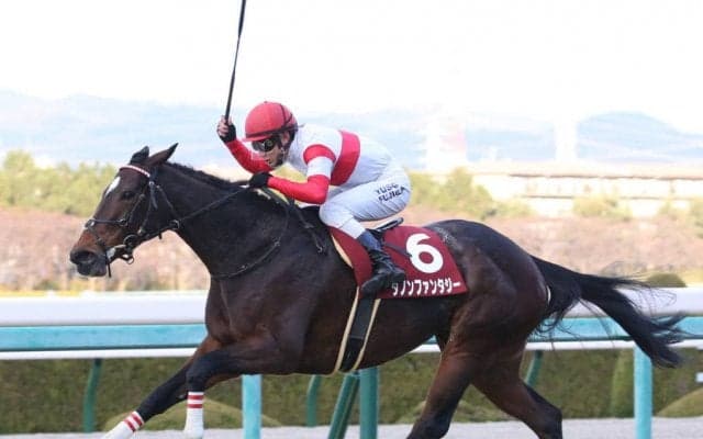 【阪神C】ダノンファンタジーがV！インディチャンプは敗れる