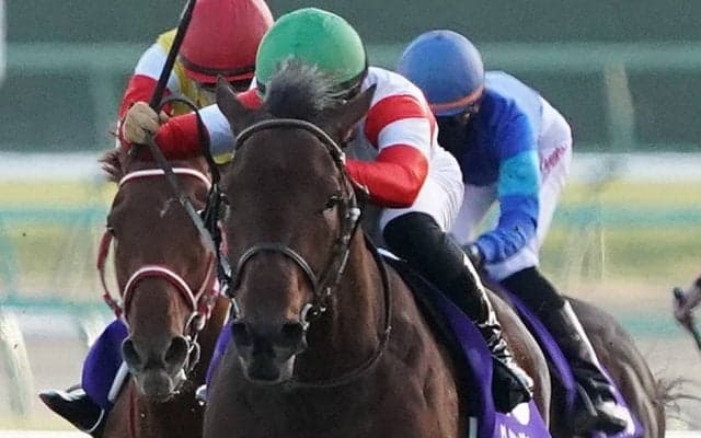 【ホープフルS】川田「師匠と共に…」ダノンザキッドが無傷の3連勝