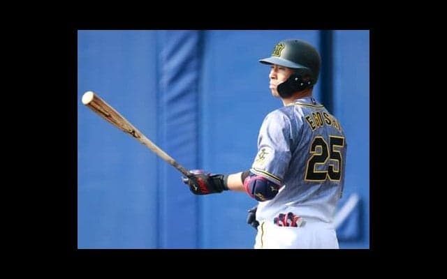 12球団の「もったいない選手」たち。 能力は超一流も定位置奪取できない【2020人気記事】