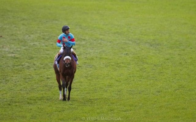 2020年度「東京競馬記者クラブ賞」はアーモンドアイ関係者一同、および藤沢　和雄調教師が受賞