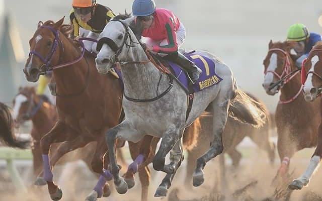 【東京大賞典】オメガパフューム鞍上M.デムーロ騎手「最後200mで差し切ろうと思っていたのでとても気持ち良かった」