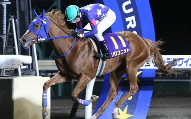 【大井・東京2歳優駿牝馬】北海道のソロユニットが6連勝を狙う/レースの見どころ(地方競馬)