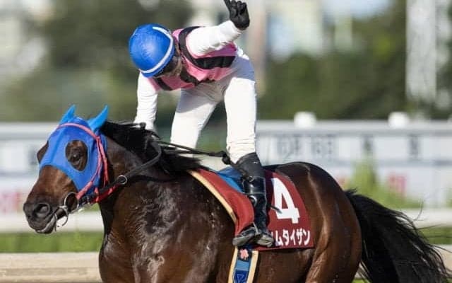 【園田ジュニアC】重賞勝ち馬ツムタイザンは7枠9番、前走圧勝キングオブハーバーは2枠2番