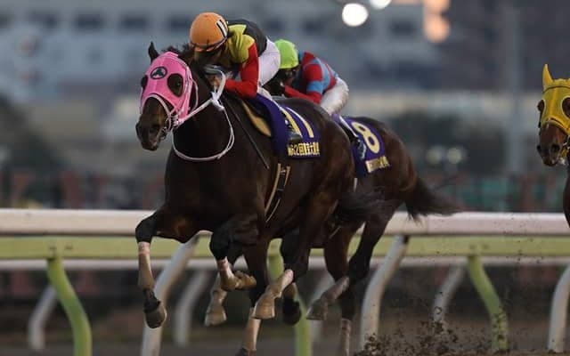 【大井・東京大賞典予想】血統も育む人の方向性もJRAとはまったく異なる大一番！ 亀谷敬正が血統面からジャッジした狙い目とは!?/地方競馬レース展望