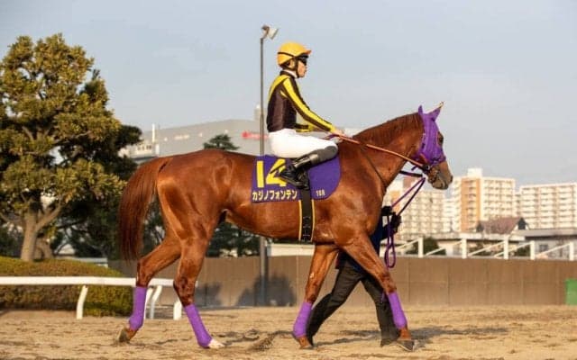 【東京大賞典】張田「俺の根性が足りなかった」レース後ジョッキーコメント