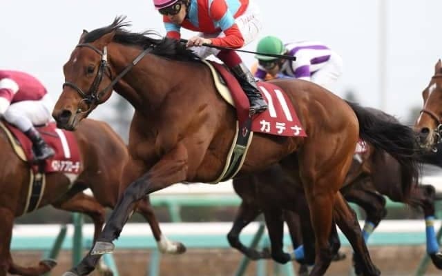 【中山金杯 出走馬決定順】フルゲート17頭にバイオスパーク・カデナなど21頭の登録