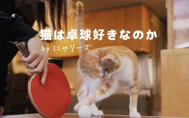 【新動画企画】Rallys × 猫＝にゃリーズ　誕生。