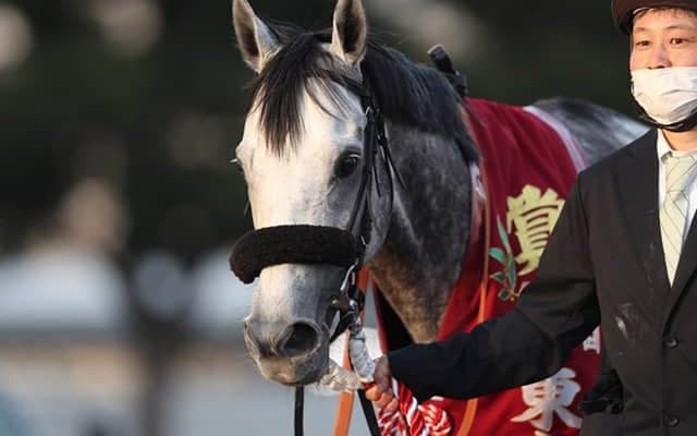 【次走】オメガパフュームは1月の川崎記念など視野に、東京大賞典で3連覇達成