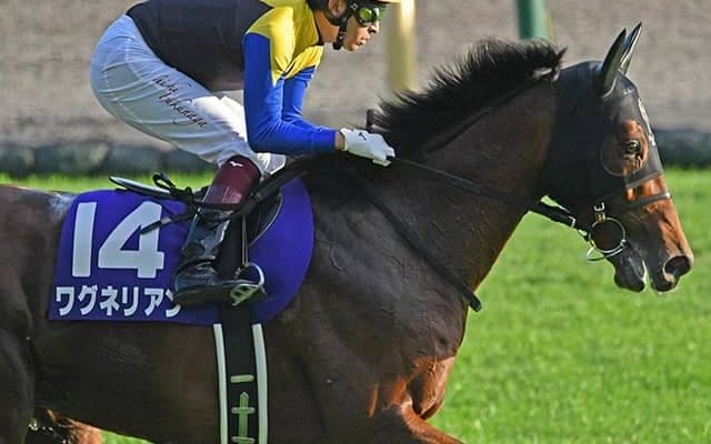【次走】ワグネリアンは2月の京都記念へ、2018年の日本ダービー馬