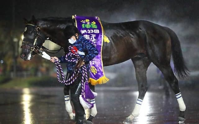 【次走】アルクトスは1月の根岸Sへ、マイルCS南部杯を日本レコードで制覇