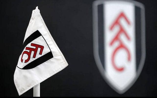 フルアムでコロナ蔓延…30日開催予定のスパーズ戦が開催延期に…