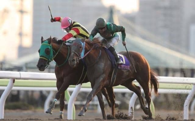 【地方競馬】年明け最初の大井は引き続き事前抽選で入場　指定席483名、一般席750名