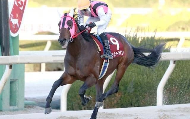 【園田ジュニアC結果】ツムタイザンが重賞2勝目を飾る