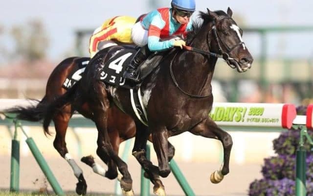 【京都金杯 予想オッズ】武豊シュリが予想1番人気