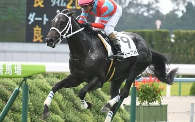 【中山金杯見どころ】明け4歳のディープボンドが重賞2勝目を狙う