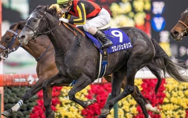 【2020馬主リーディング】クロノジェネシスらのサンデーレーシングが4年連続のトップに