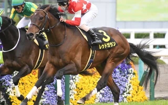 【京都金杯展望】中京で行われる西の開幕重賞、注目はあの馬