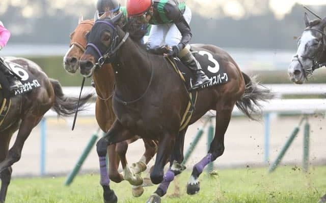 【中山金杯展望】2021年最初のJRA重賞はあの馬に期待したい