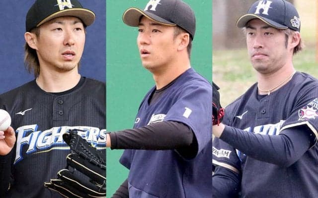 金子は先発再転向、右肘故障の斎藤佑は…　日本ハムで復活期待の選手は？