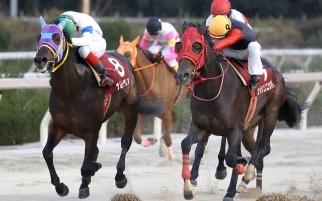 【園田・新春賞結果】エイシンニシパが3連覇達成！