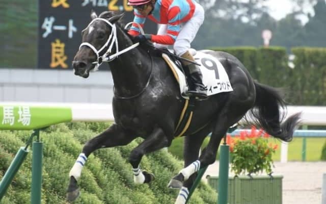 【中山金杯】ディープボンド＆和田竜二騎手、ダーリントンホール＆M.デムーロ騎手など17頭/出走馬・騎手確定