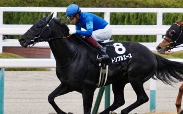 【京都金杯】出走馬の調教後の馬体重