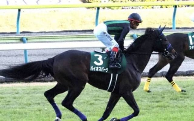 【中山金杯】出走馬の調教後の馬体重