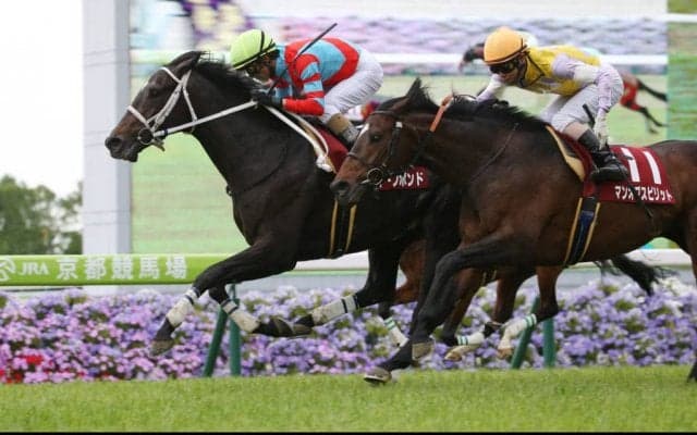 【中山金杯】枠順と見所 ディープボンドは6枠11番
