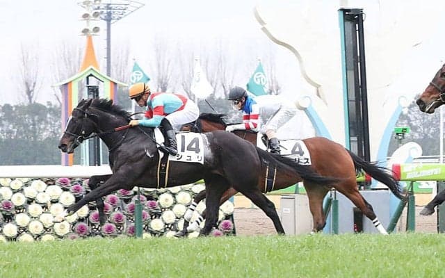 【京都金杯】枠順と見所 武豊シュリは5枠10番