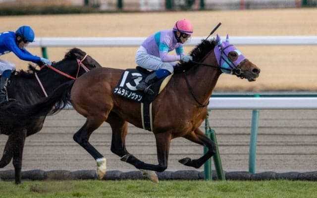 【万葉S】ナムラドノヴァンが格上戦を制する