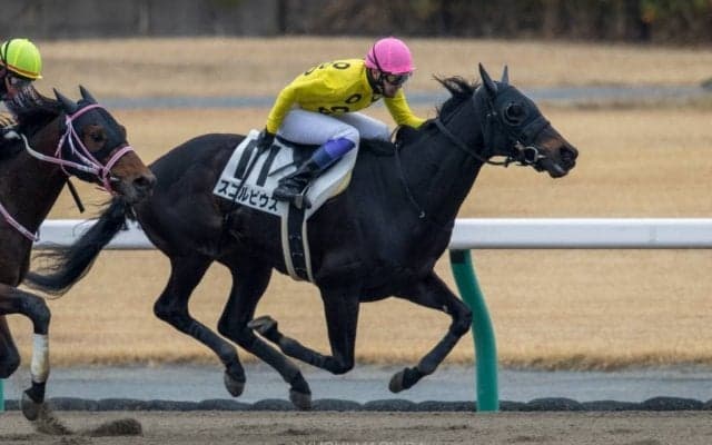 【中京4R】武豊 スコルピウスが人気に応える